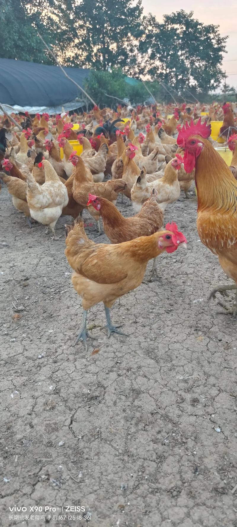 ǩǩ_ǷΣļ(ǩǩΣӦ)