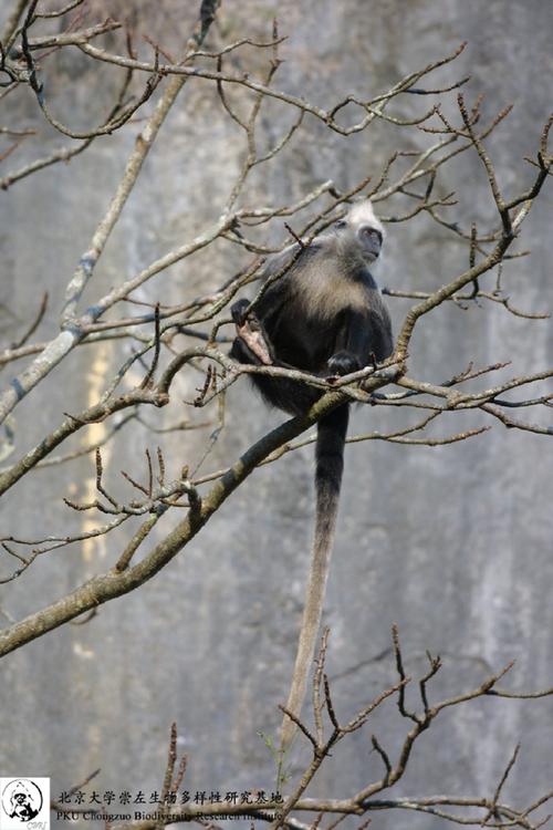 18317Фƻù˾(18317ФΪФе)