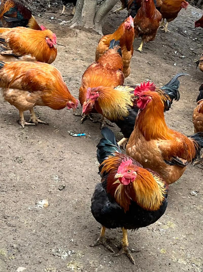 ǩ47żլͬǷ(ǩ47żլͬ׻ʲôӰ)