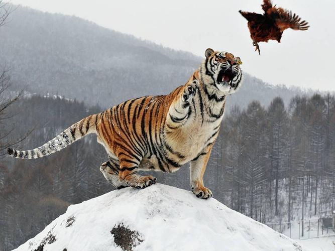 ŮμϤŮ˳ܴʲô_μϤŮ˻ʲô