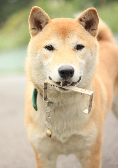 ��լ��������˰��ֵĹ�ϵ