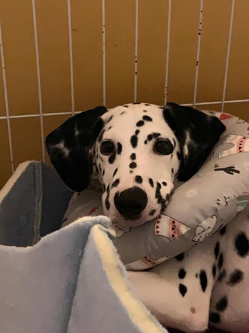 ���������Ϲ��������ϼ��