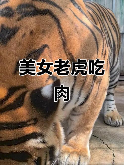 阴宅中宫是哪个位置呢 阴宅中宫是哪个位置呢