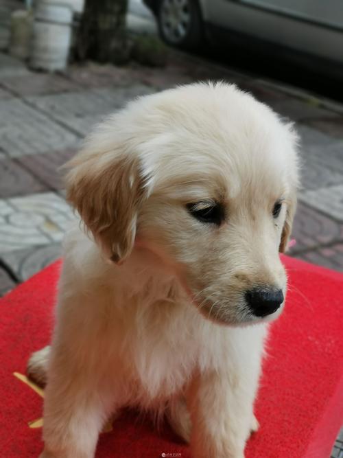 广场舞青春舞曲_广场舞青春舞曲背面分解动作 广场舞青春舞曲_广场舞青春舞曲背面分解动作