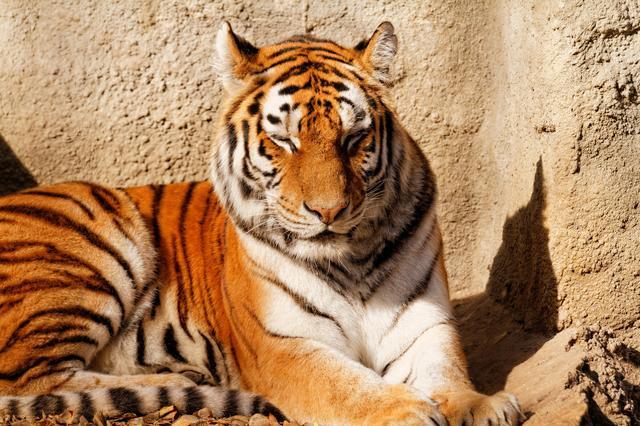 ��������Ϊʲôû���ٶ�9