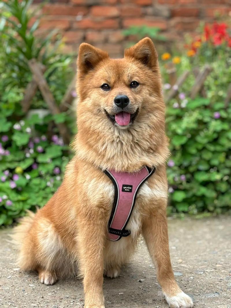 12星座男女的长相特征 12星座男女的长相特征