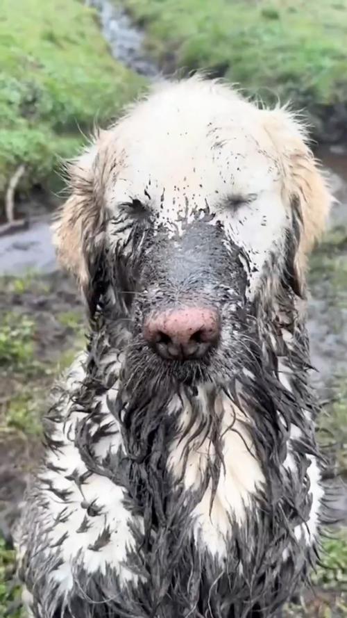 你开公司信风水吗 你开公司信风水吗