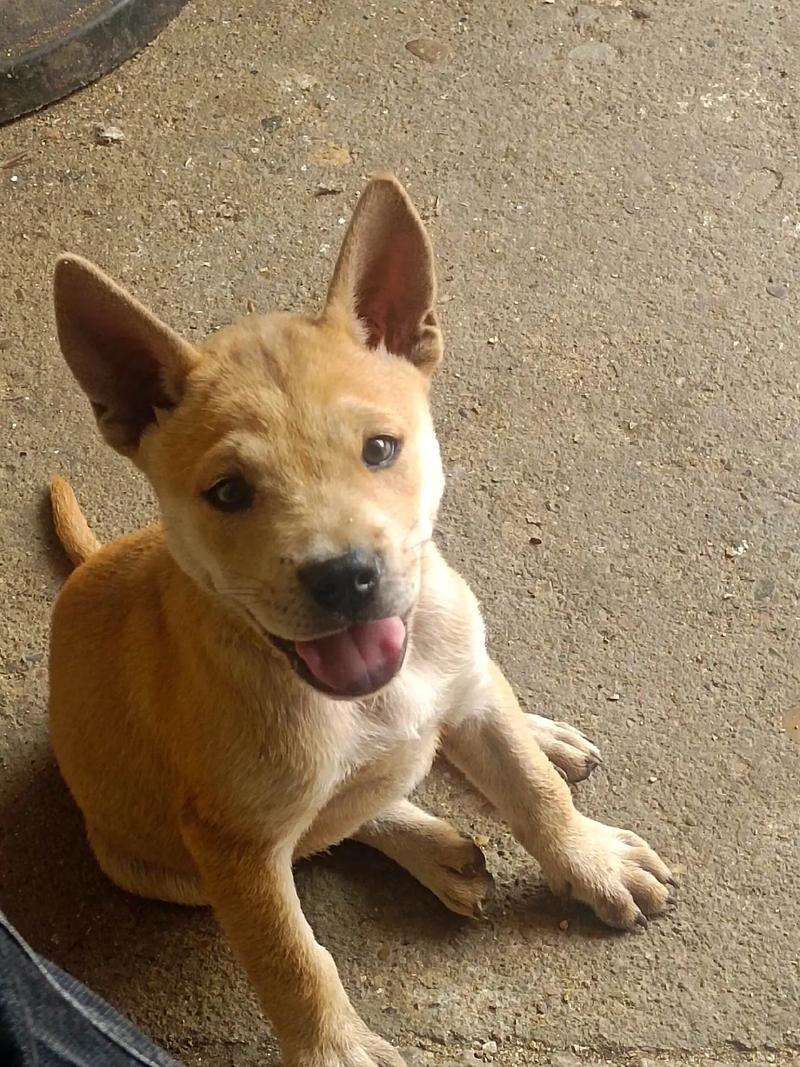 ʮ������˭������Ů ʮ������˭���崿Ů��