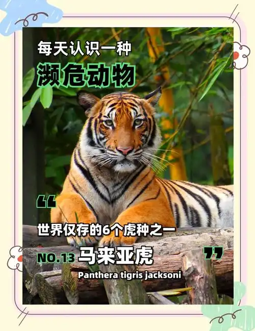 齐秦个人资料年龄多大 齐秦个人资料年龄多大