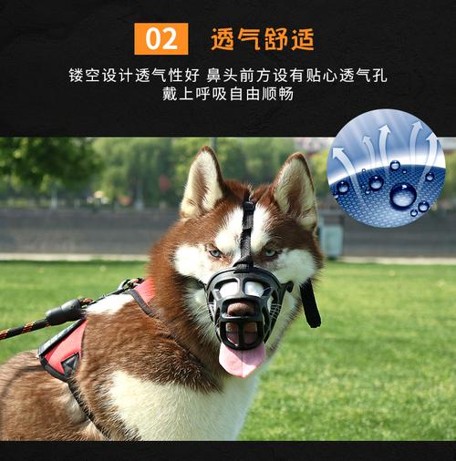 高端时尚的商贸公司名字 高端时尚的商贸公司名字
