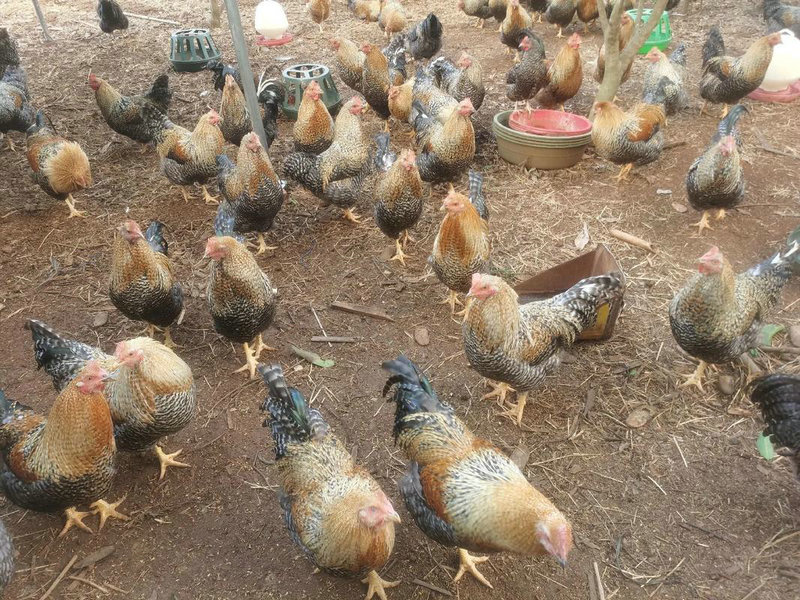 ⼪׺³ĶǵӰǷЩֱĺǱڷ