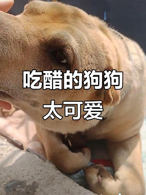 ��լ����������ô��