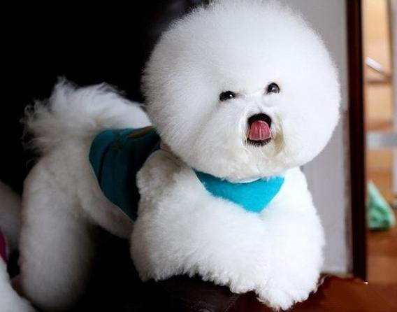 ���մ��� ����֮��������������