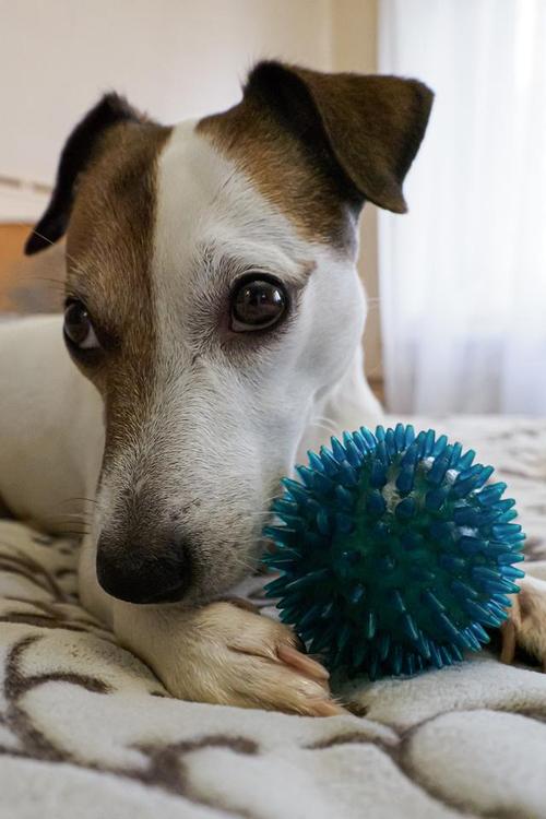 上升星座查询表完善版 上升星座查询表完善版