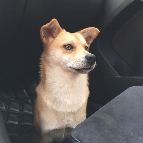 洪咽八字算命_我的未来究竟藏着什么秘密? 洪咽八字算命_我的未来究竟藏着什么秘密?