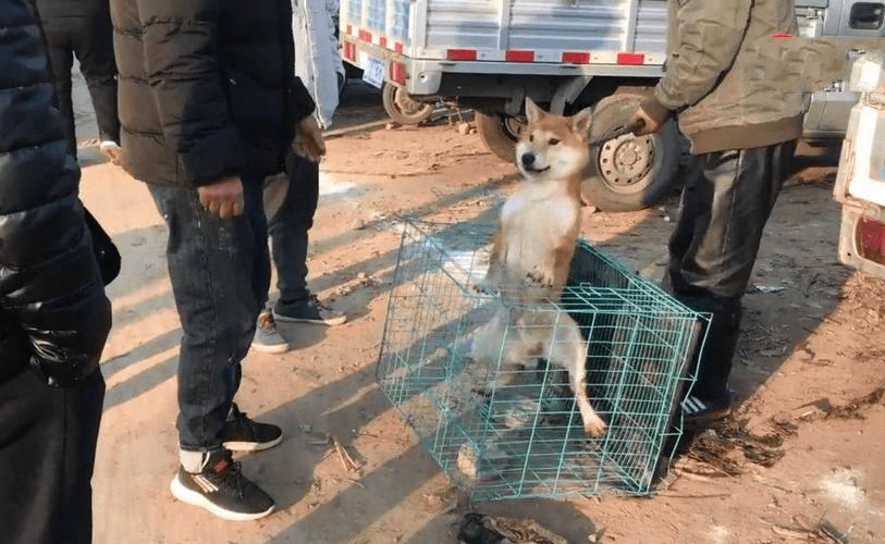 鼠年运程2025生肖年运 属兔鼠年运程 鼠年运程2025生肖年运 属兔鼠年运程