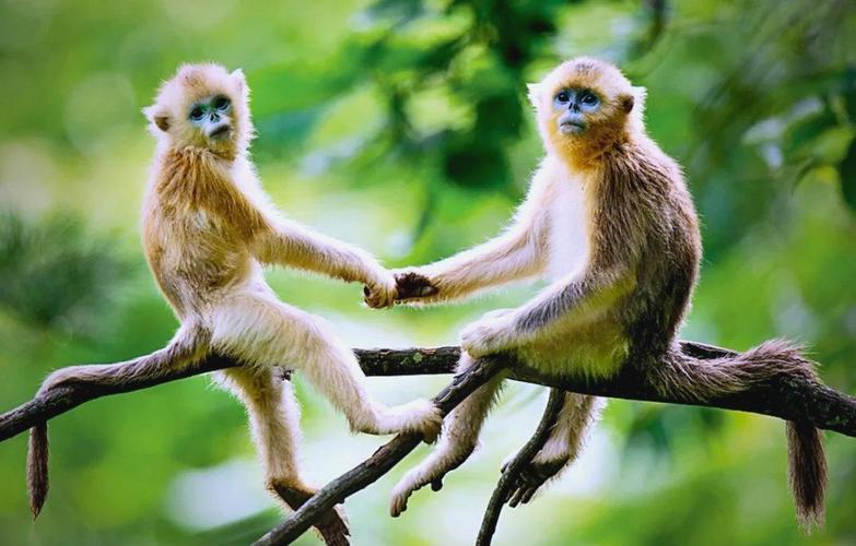 金牛座与十二星座合适吗 金牛座与十二星座合适吗