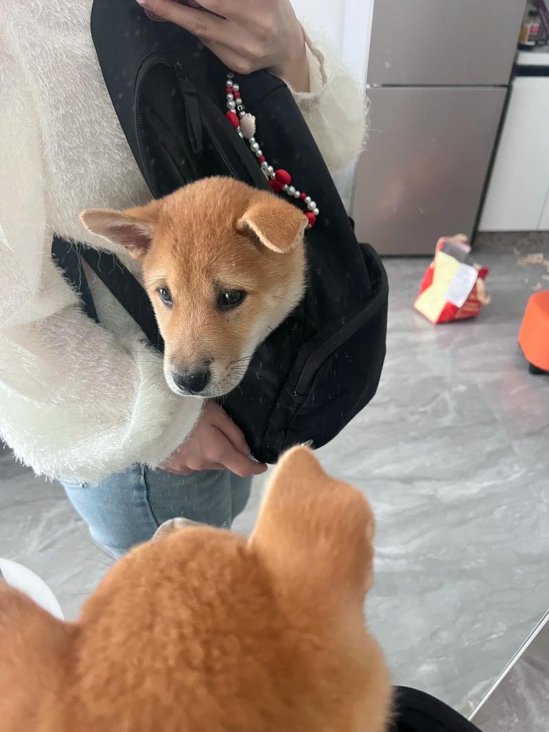 怎么给阴宅做防水施工 怎么给阴宅做防水施工