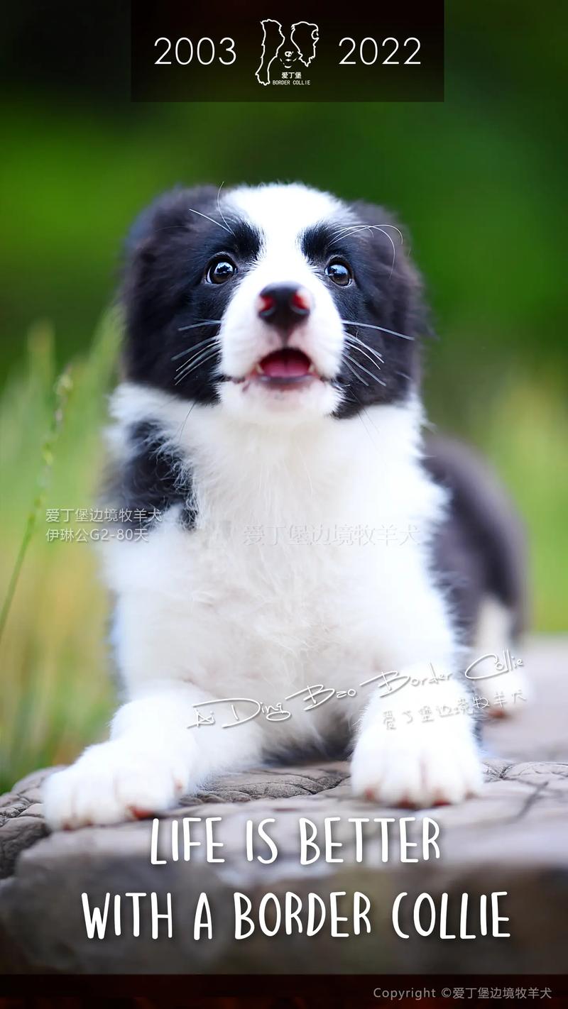 ôҵԼҵĲλ,ôȷеķˮλ