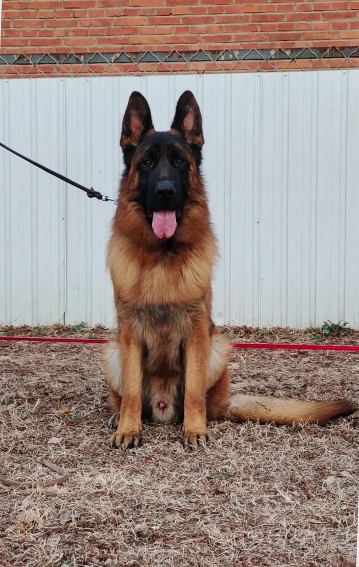 qq列表分组名称设计 qq列表分组名称特别 qq列表分组名称设计 qq列表分组名称特别