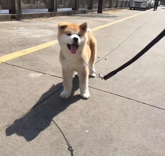 观音抽签程序是什么婚姻质量令人担忧吗(观音抽签程序是什么婚姻质量令人担忧吗) 观音抽签程序是什么婚姻质量令人担忧吗(观音抽签程序是什么婚姻质量令人担忧吗)