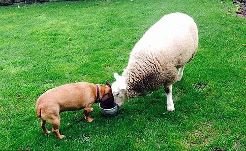 ��������������������