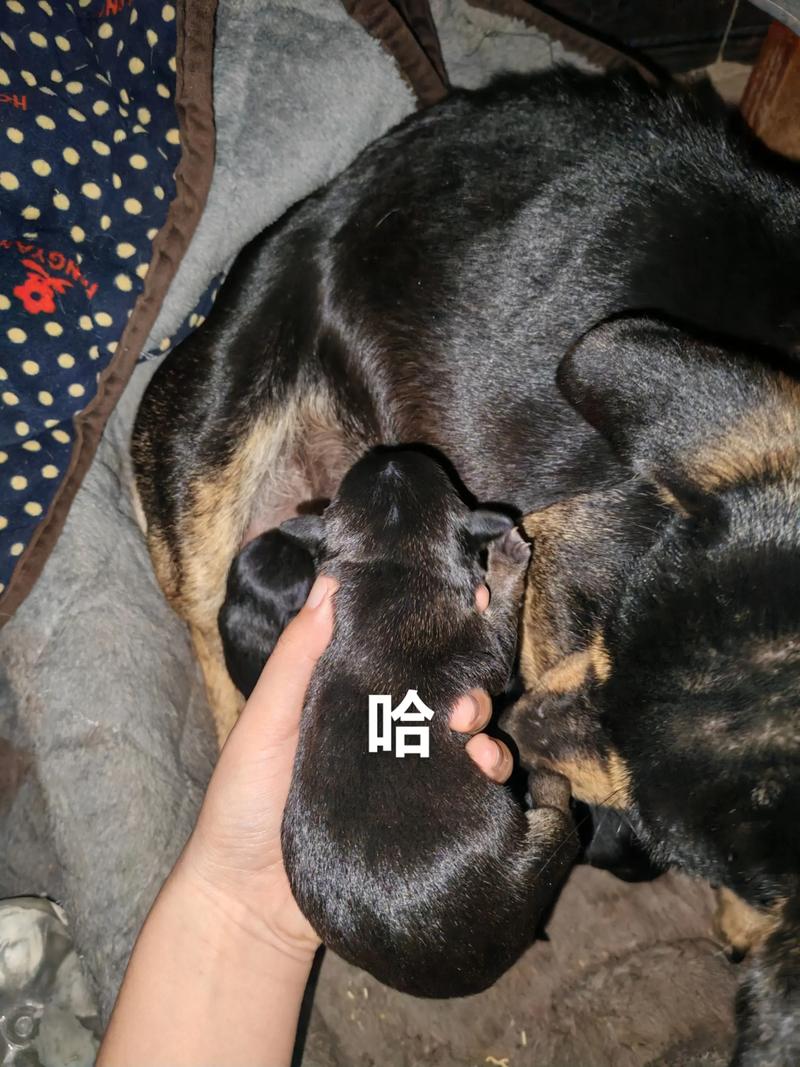 ������2025��ÿ�����ƺò���