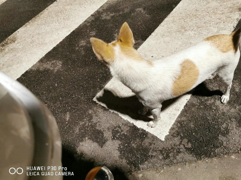 ǩʮǩ_ǷܵӰ(ǩʮǩ_Ƿ)