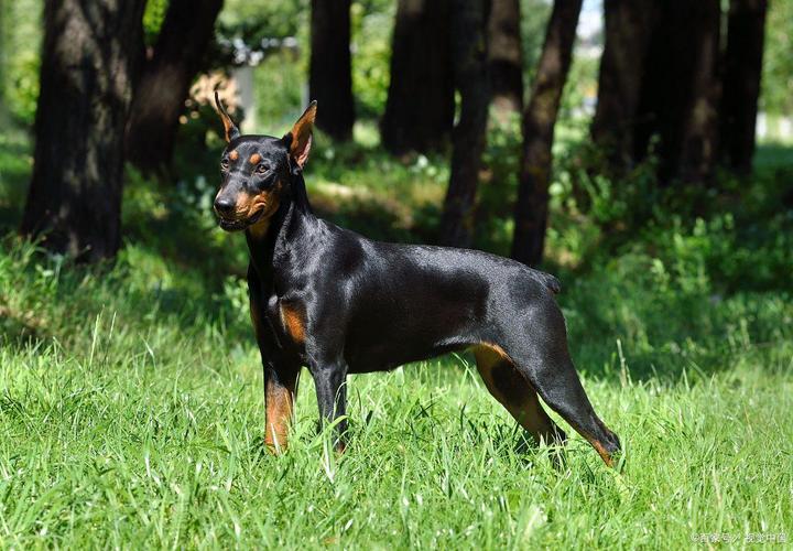 ǷӰҵĳƺѡ߲鳵ƺżײѯȫܷṩмֵָͽ