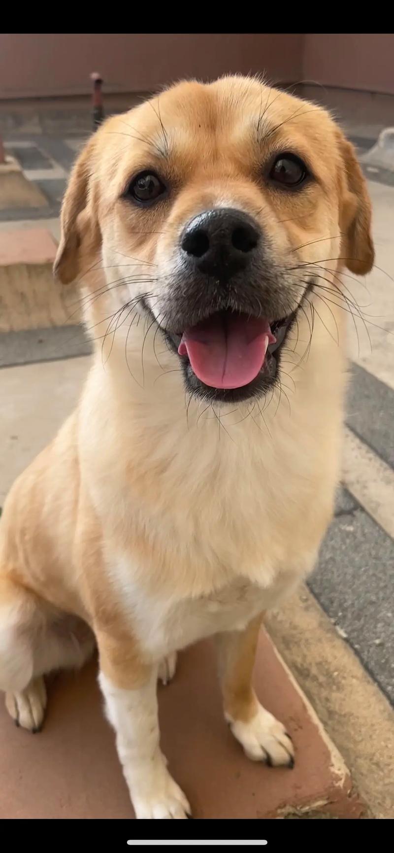 西户楼房客厅摆放位置风水 西户楼房客厅摆放位置风水