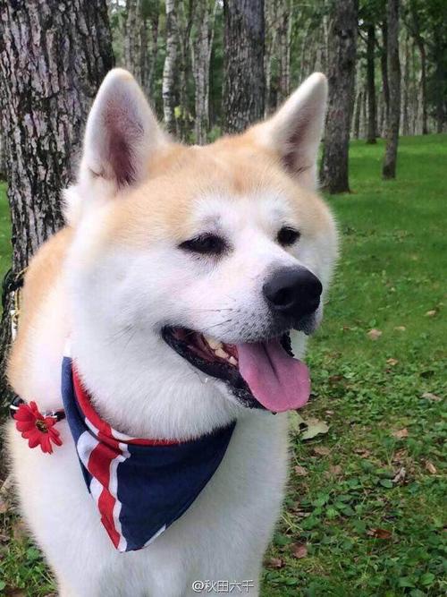 八字运势口诀的解释,日主旺,财官衰,遇财官发 八字运势口诀的解释,日主旺,财官衰,遇财官发