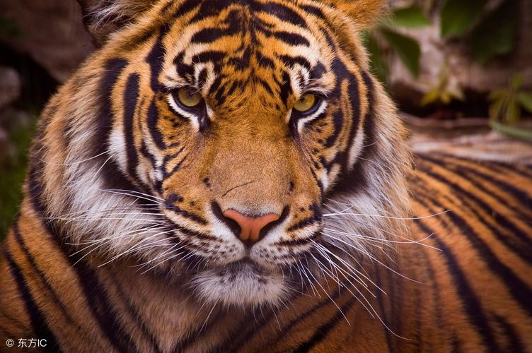 ʮ���������������� ʮ������������������ʲô