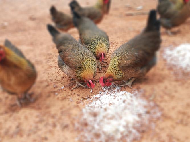 ƴ34ǩԵǷԵʺϽ(ƴ34ǩԵǷܴ)