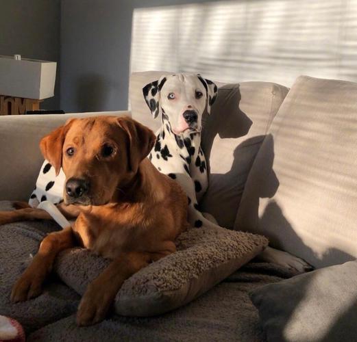 ˮƿŮ˵Ļ ˮƿŮ˵Ļ״