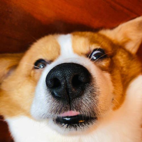 元佑男孩名字 佑字取名合适吗男孩 元佑男孩名字 佑字取名合适吗男孩