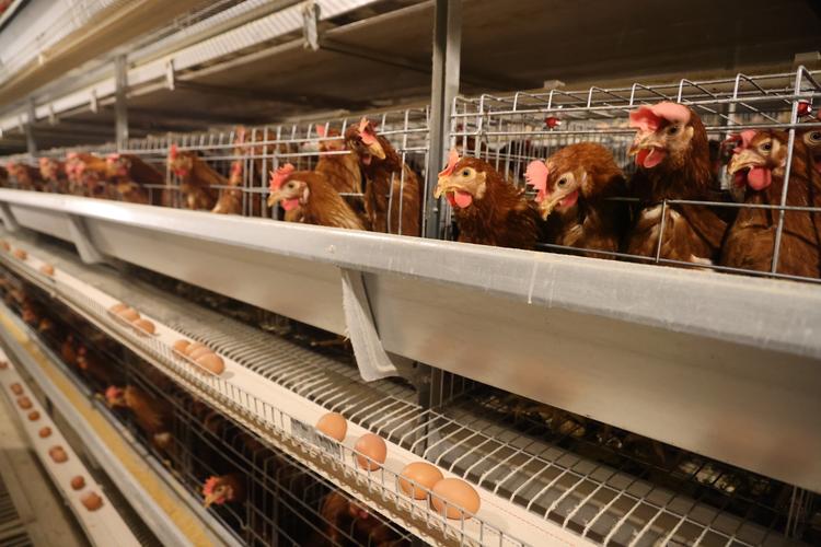 ��������μ� ��������μ�ȫ��������ѹۿ�