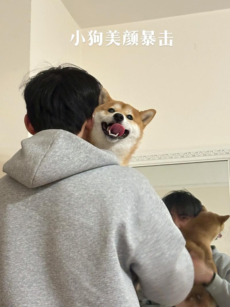 82年属狗女2025年会有二胎吗 82年属狗女2025年会有二胎吗