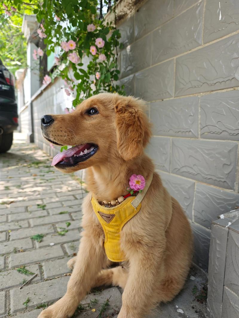 ǩڶʮһǩ_罻ǷӰ(ǩڶʮһǩǷԤʾ罻Ƶ)