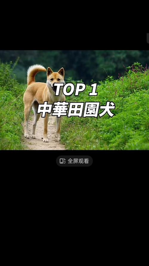 生辰八字测命婚姻配对是怎么算的(王师傅生辰八字婚姻) 生辰八字测命婚姻配对是怎么算的(王师傅生辰八字婚姻)