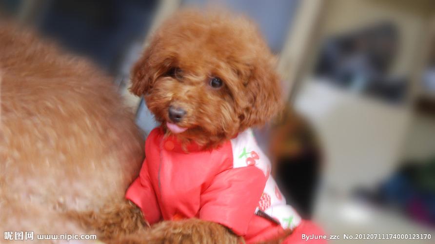 ÷̫껹Ǽ̫ᵼ°¹ͨ(÷̫껹Ǽ̫Ӱ¹ͨ)