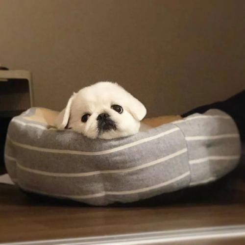 沐浴之王电影_沐浴之王电影未删减版在线观看 沐浴之王电影_沐浴之王电影未删减版在线观看