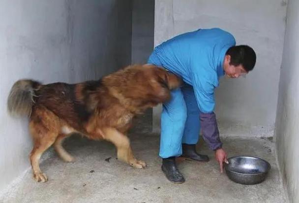 今年十二生肖运势马排第几会影响影视喜好吗(今年十二生肖运势马排第几会影响影视喜好吗) 今年十二生肖运势马排第几会影响影视喜好吗(今年十二生肖运势马排第几会影响影视喜好吗)