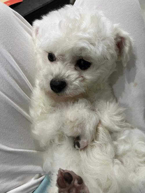 易经生辰八字算命命运如何(如何从生辰八字看命运命理 ) 易经生辰八字算命命运如何(如何从生辰八字看命运命理 )