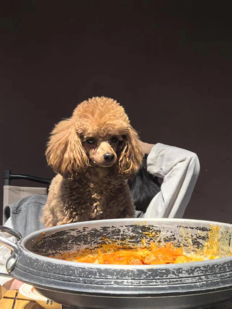 杨紫晒和父亲比耶旧照隐瞒了这么多年,杨紫 杨紫晒和父亲比耶旧照隐瞒了这么多年,杨紫