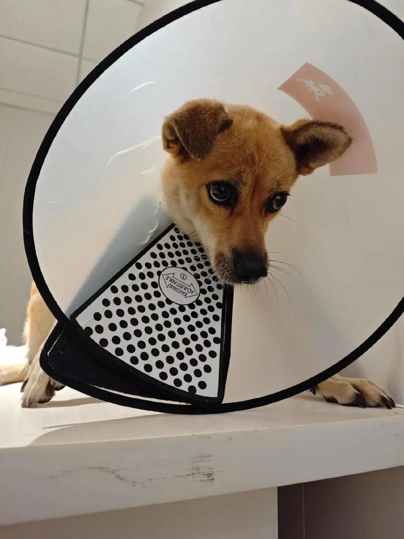 �����µı���_�����µı������Ӿ����߹ۿ�