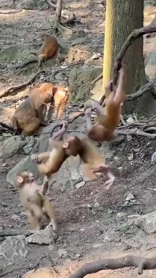 ֲǷܰǱͶʧܵ(ֲΪͶʧԵΪҪ)