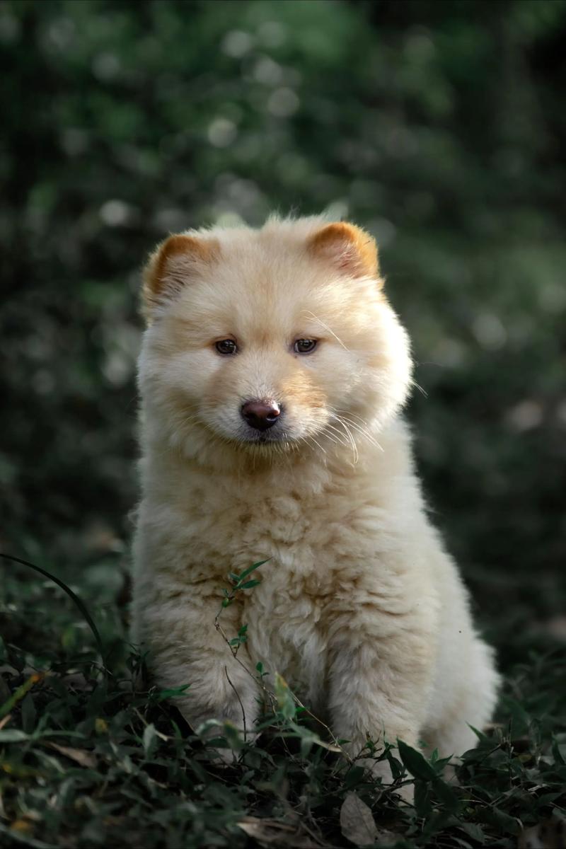 阴宅造葬艮山坤向正针 阴宅造葬艮山坤向正针