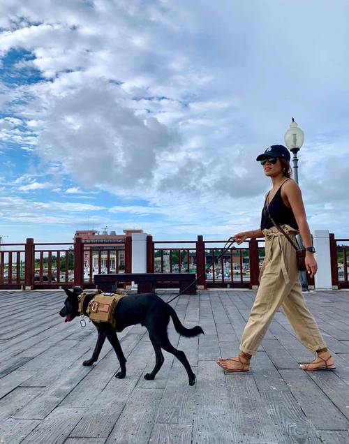 72������Ľ����һ���զ�� 1972�������˵Ľ����һ�����ʲô��˼��