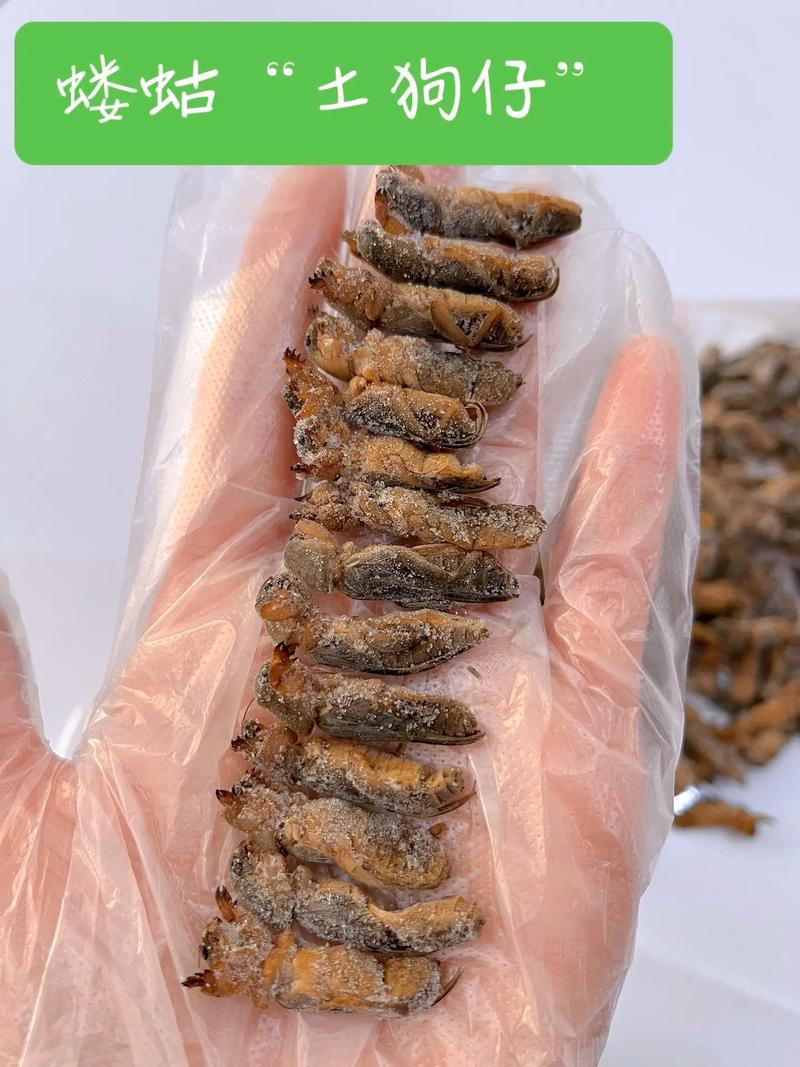 任程伟10部必看经典 任程伟10部必看经典