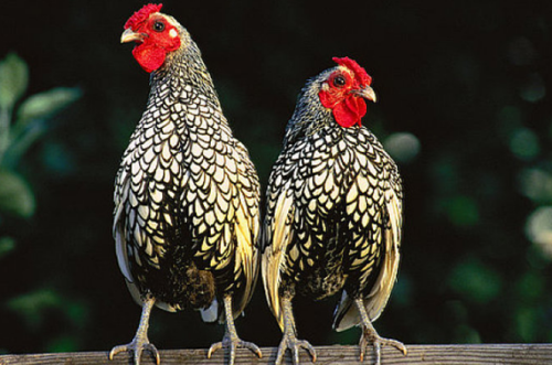 关于梅雨季节的散文有哪些?梅雨季节散文赏析 关于梅雨季节的散文有哪些?梅雨季节散文赏析